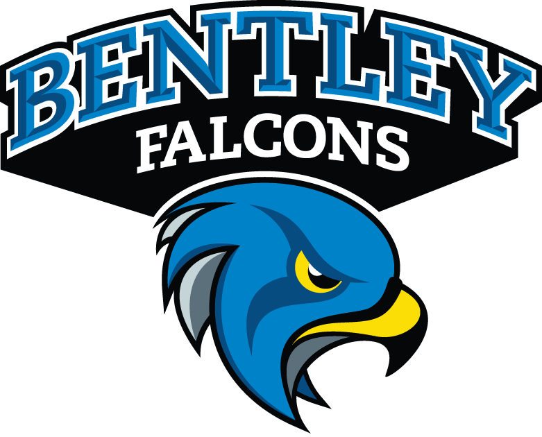 Bentley Falcons 2013-Pres Secondary Logo DIY iron on transfer (heat transfer)